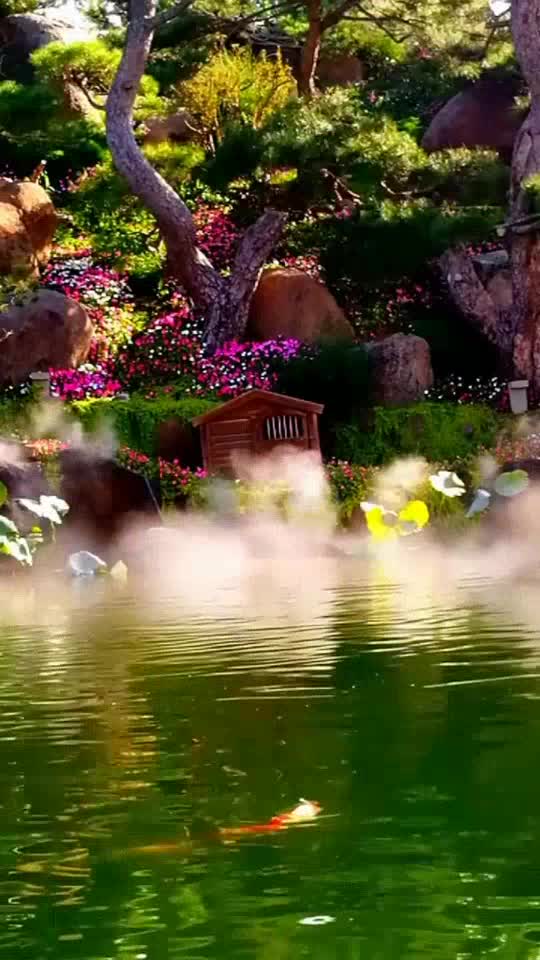 张齐山的一首《幻星岛》,歌声惟妙惟俏,耐人寻味