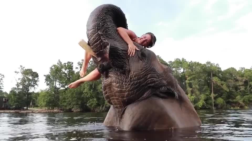 女子正在河里游泳,不料偶遇一头大象,竟直接将女子卷到了空中