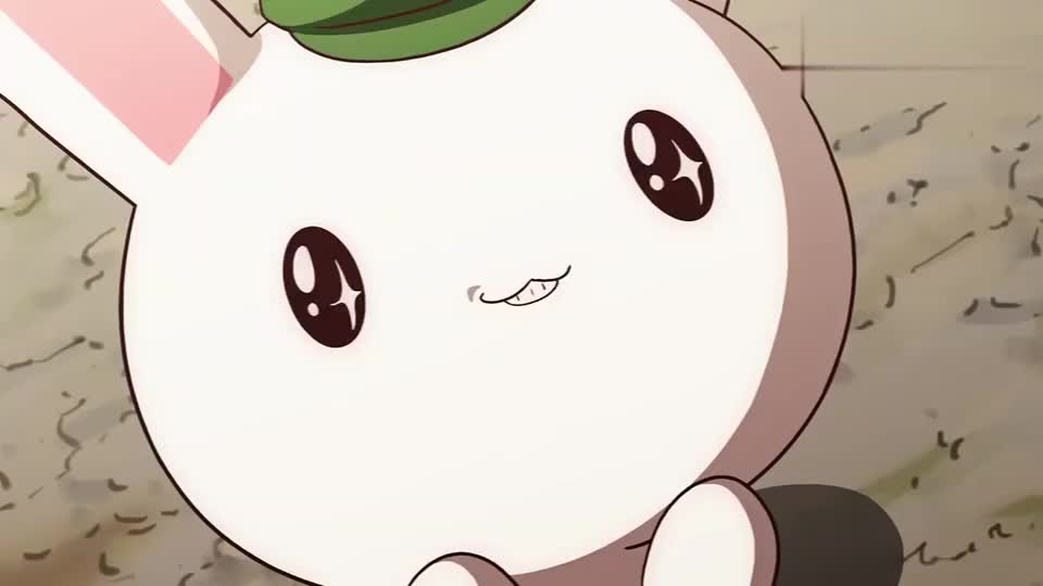 那年那兔那些事儿每一只兔子都有一个大国梦