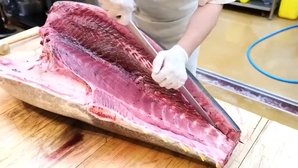100kg的金枪鱼分割