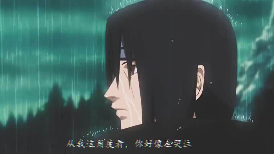 鼬先生淋雨可对身体不好噢