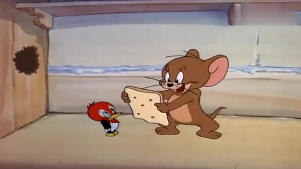 猫和老鼠:鸟妈妈有事外出,鸟蛋突然掉出巢,来到了杰瑞家里!