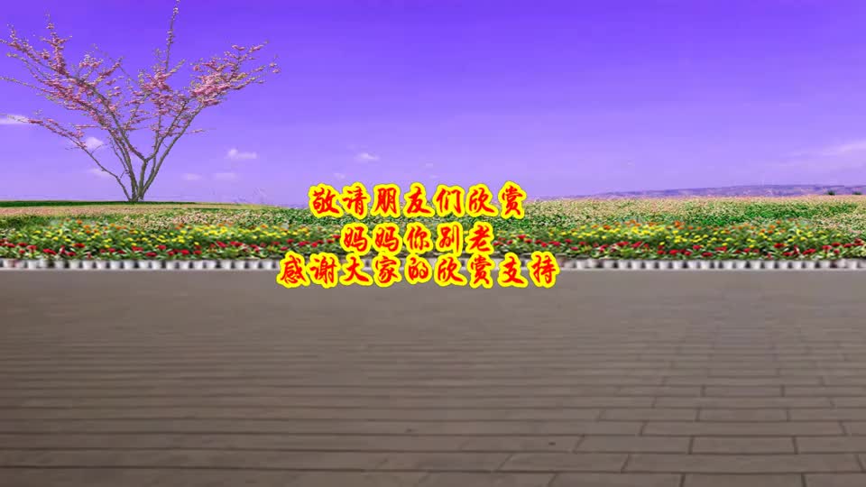 广场舞《妈妈你别老》歌曲感人,舞步简单又好看|广场舞|妈妈你别老