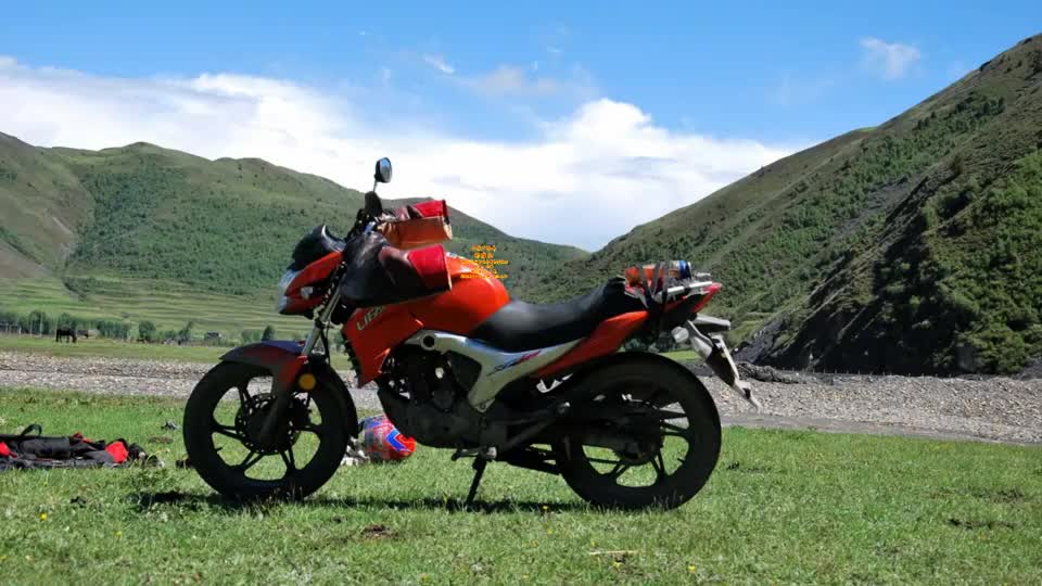 网红流行神曲《野摩托》动感霸气,背面演示