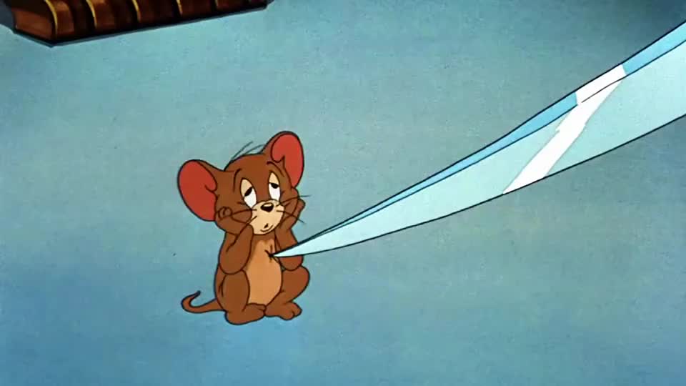 猫和老鼠:"磨灭了热情,不敢再恋爱了"