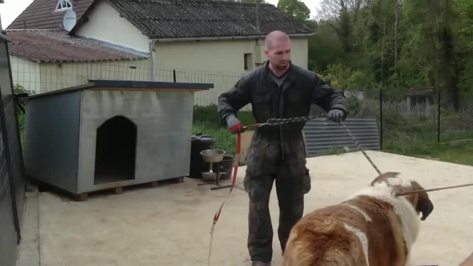 点击新视线的主页 新浪网