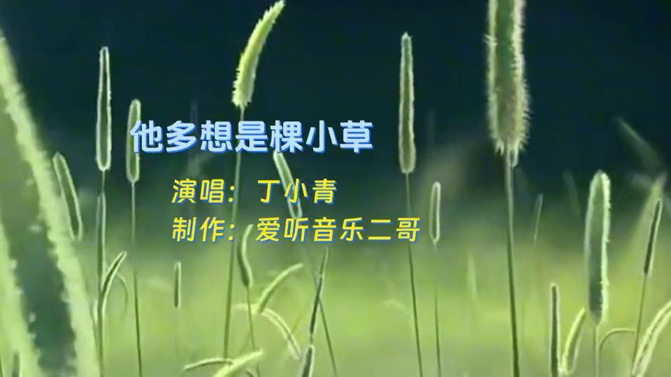 很好听，西游记经典插曲欣赏，《他多想是棵小草》