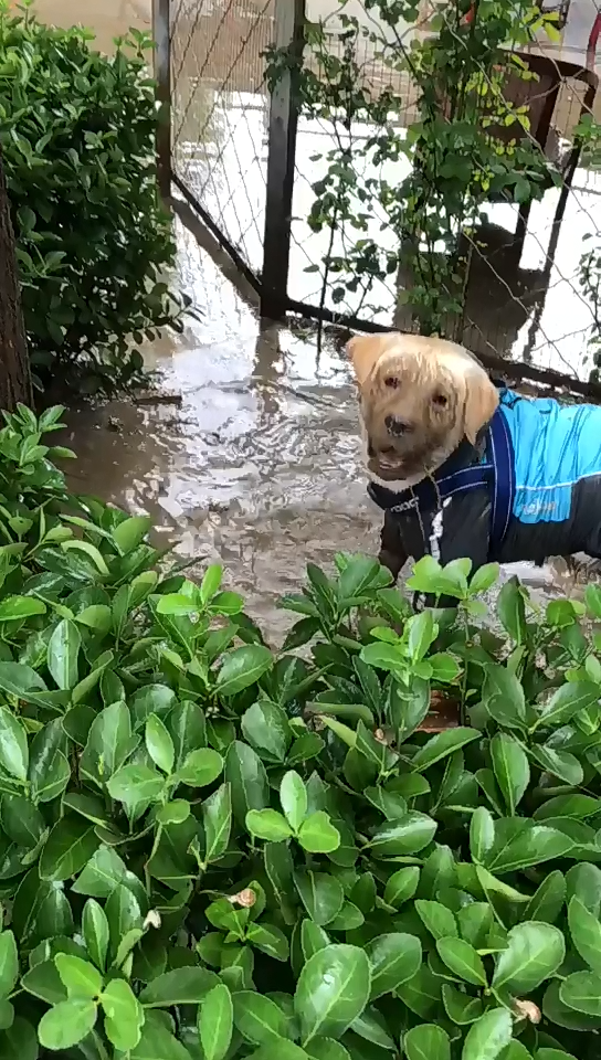 下雨天了怎么办，我好想你——外面的世界