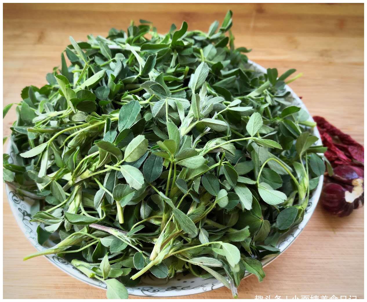 3月遇到这菜我不手软,一次买好几斤,焯个水一拌特香,别错过|苜蓿|凉拌