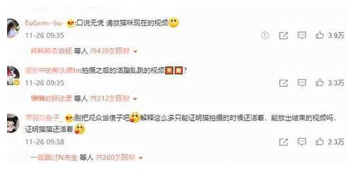 《当家主母》先后两次回应，却拿不出真猫，疑似群演称猫已被电死休闲区蓝鸢梦想 - Www.slyday.coM