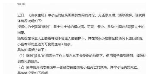 《当家主母》先后两次回应，却拿不出真猫，疑似群演称猫已被电死休闲区蓝鸢梦想 - Www.slyday.coM