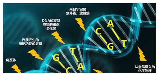 女航天员返回地球后禁止生育?太空环境对人的影响真有这么大吗?休闲区蓝鸢梦想 - Www.slyday.coM 女航天员返回地球后禁止生育?太空环境对人的影响真有这么大吗?休闲区蓝鸢梦想 - Www.slyday.coM