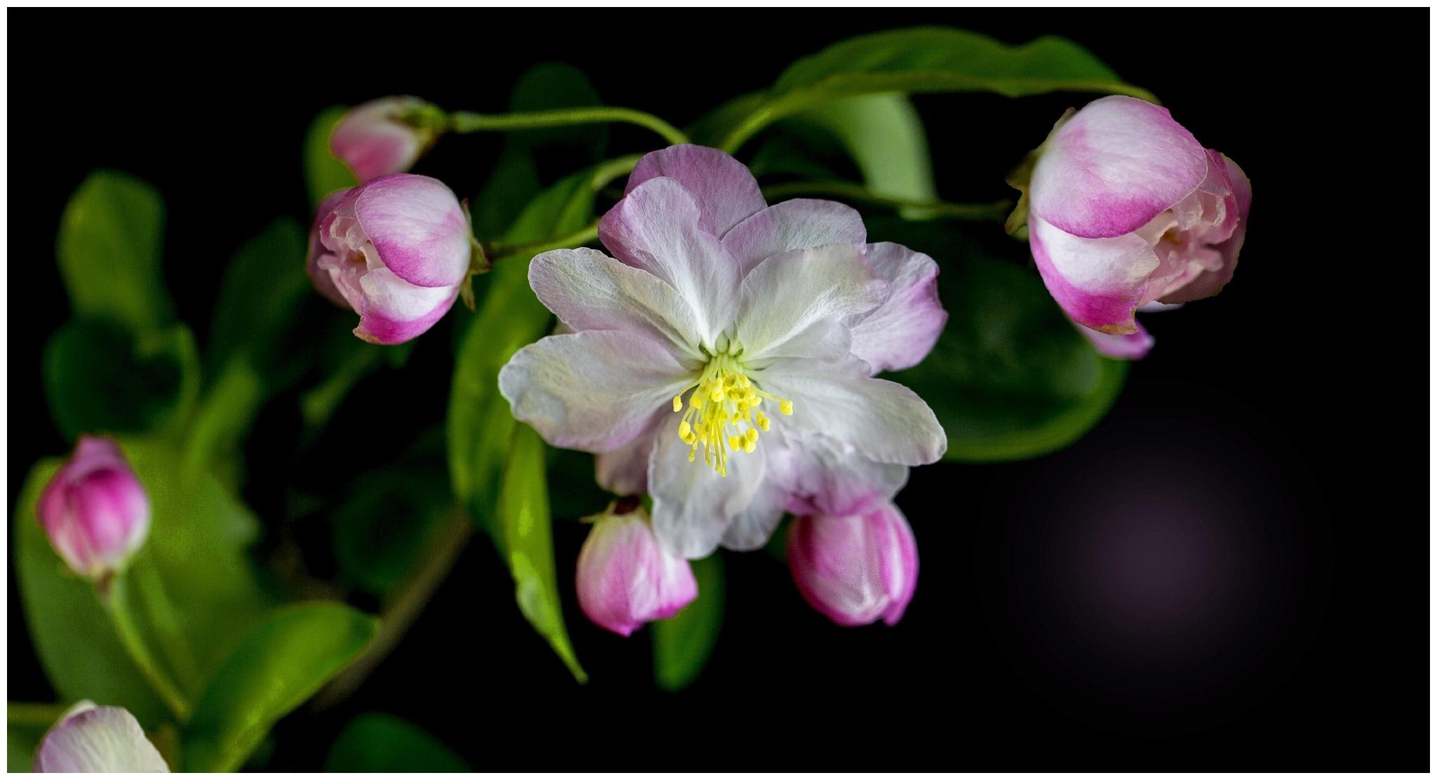 8月3日 9日爱情运势 真爱缱绻 深情守护的四大星座 伴侣 单身 异性 新浪新闻