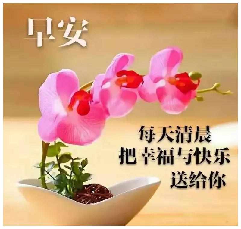 创意好看的祝福图片带字温馨__财经头条