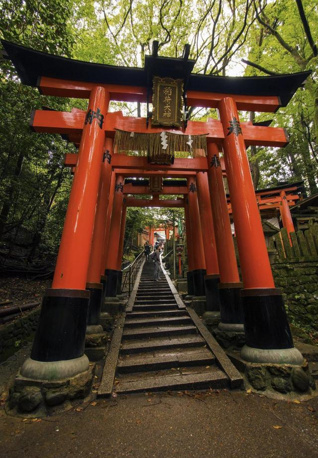 赏日本京都最壮观景点，游客要过5000多道门，神社供奉数百只狐狸|长廊|神社|稻荷神社_新浪新闻