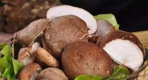买香菇时,干香菇好还是鲜香菇好?只要满足这些特点,都是好香菇休闲区蓝鸢梦想 - Www.slyday.coM 买香菇时,干香菇好还是鲜香菇好?只要满足这些特点,都是好香菇休闲区蓝鸢梦想 - Www.slyday.coM