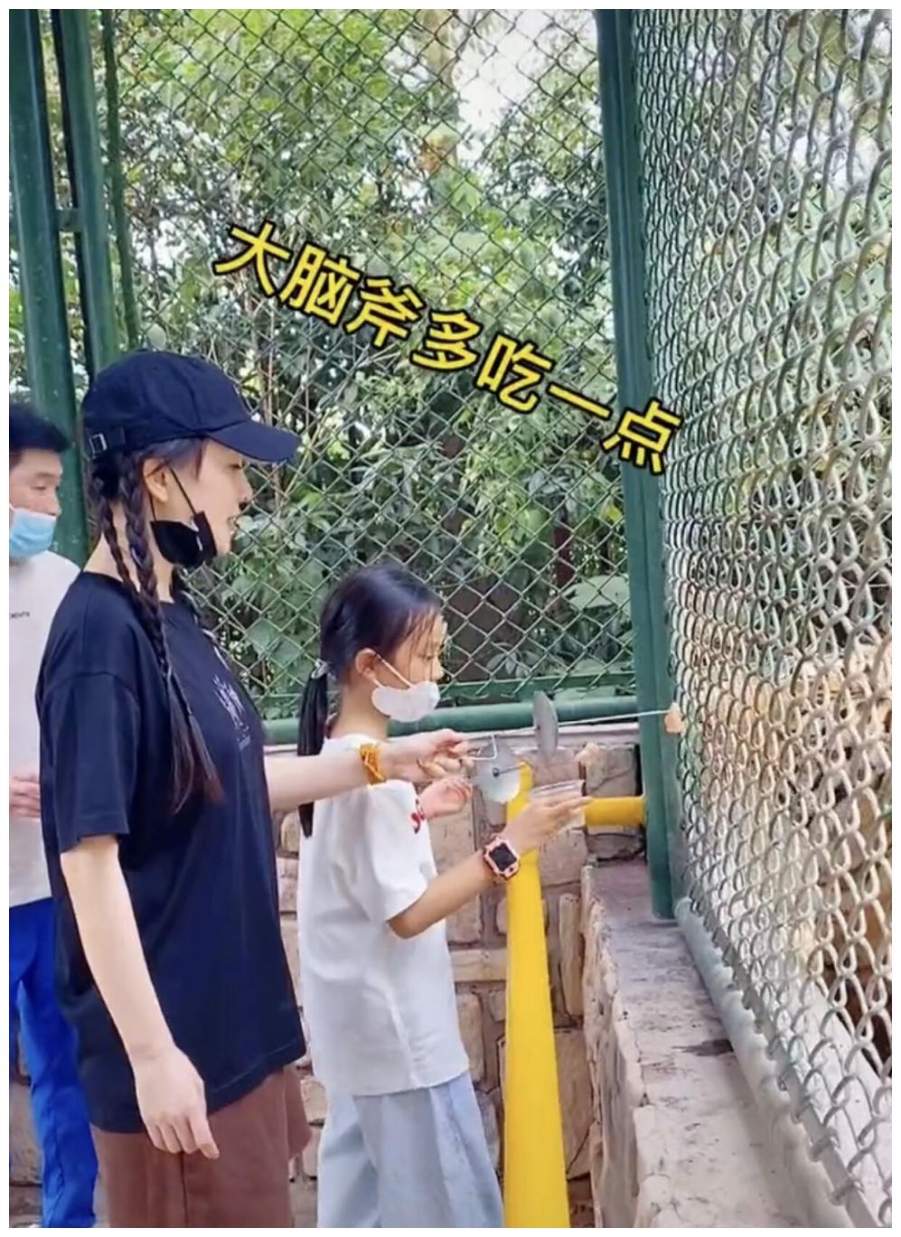 李小璐10月10日和女儿逛动物园，甜馨身高暴增，在妈妈身边像保镖