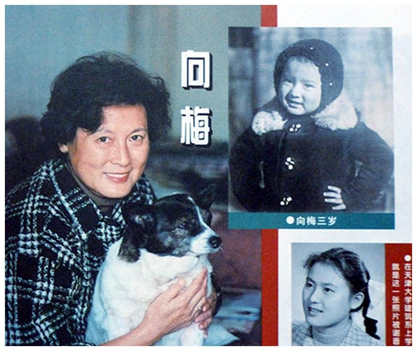 向梅从小受着良好的教育,兄弟姐妹八人均爱文艺.