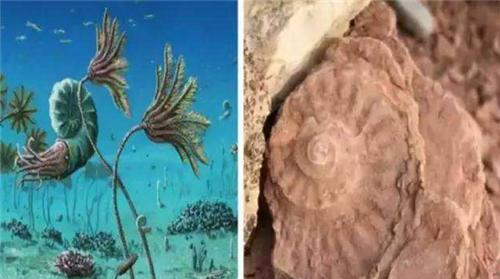 世界上下的最久的一场雨，曾持续了100多万年，是由什么引发的？休闲区蓝鸢梦想 - Www.slyday.coM