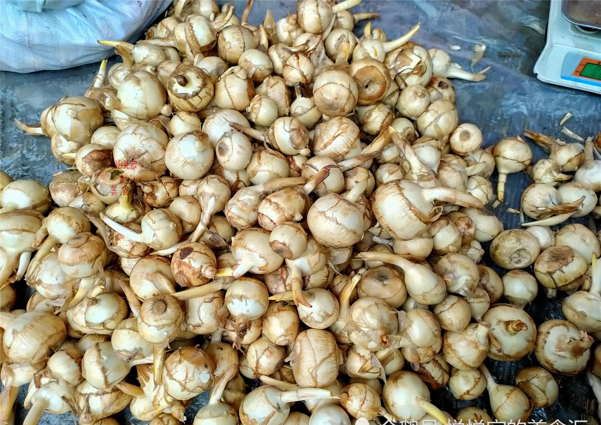 最值得一提的慈菇的口感,它不同于黑慈菇那甜脆嫩甜润的味道,而是自带