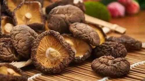 买香菇时,干香菇好还是鲜香菇好?只要满足这些特点,都是好香菇休闲区蓝鸢梦想 - Www.slyday.coM 买香菇时,干香菇好还是鲜香菇好?只要满足这些特点,都是好香菇休闲区蓝鸢梦想 - Www.slyday.coM