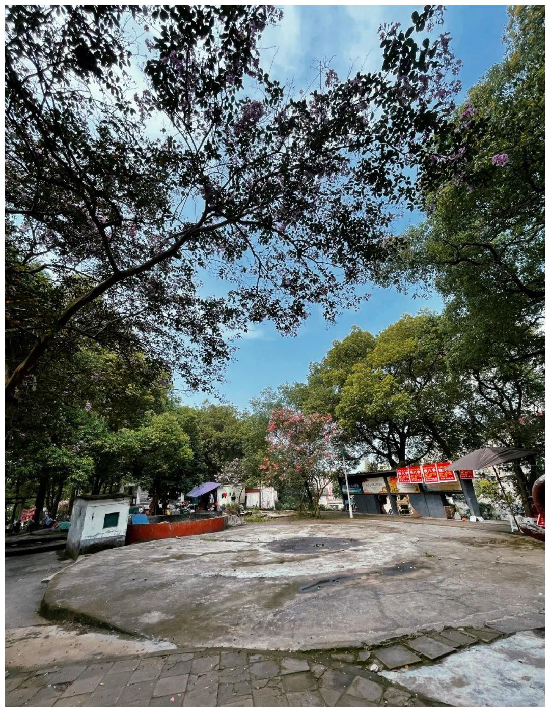 今日头条:再见,富顺五府山!