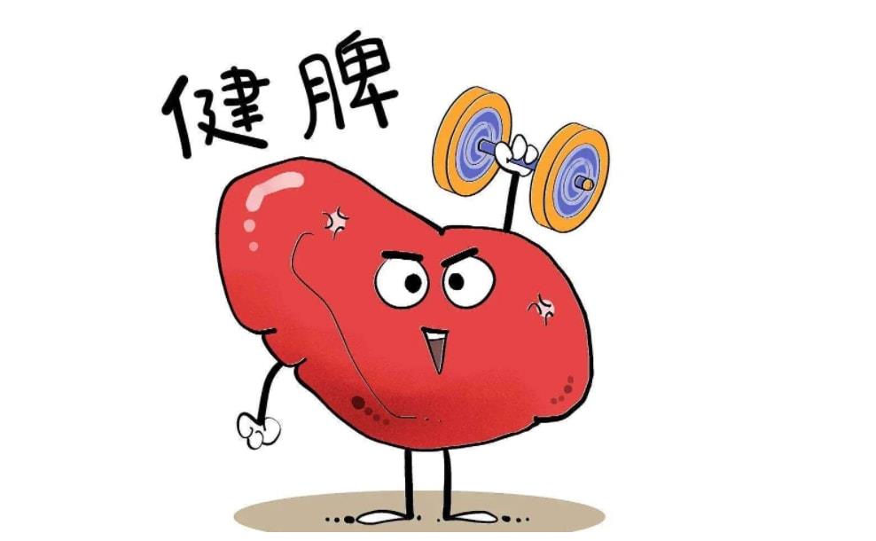 脾虚不能吃什么水果