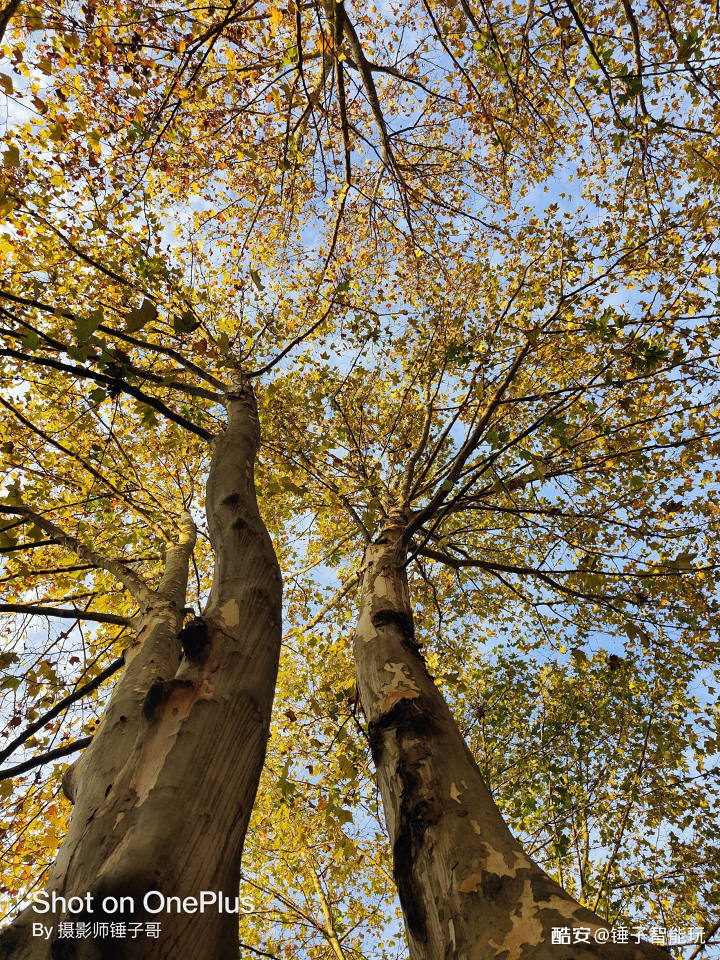 手机如何拍摄风景照片掌握这些你也可以成为大神
