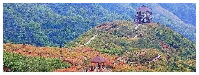 云南又一景区走红,年平均气温在16度,距大理8小时车程休闲区蓝鸢梦想 - Www.slyday.coM 云南又一景区走红,年平均气温在16度,距大理8小时车程休闲区蓝鸢梦想 - Www.slyday.coM