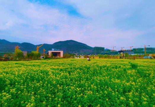 大爱城控股丨又是一年春好时,大爱书院小镇风光正当季