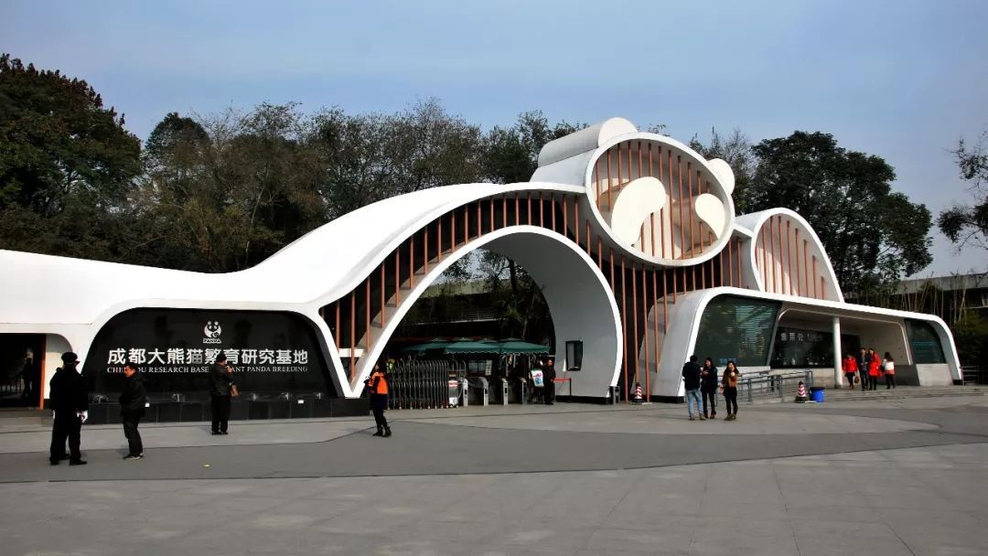 成都热门旅游景点 大熊猫繁育研究基地 低音号旅游|博物馆|大熊猫|基