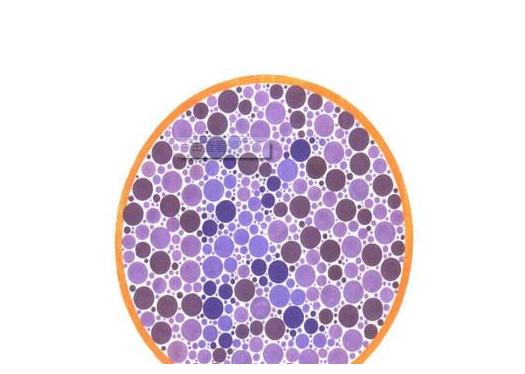 车管所流出的色盲图,看不出第二张的数字,那就回家种地吧