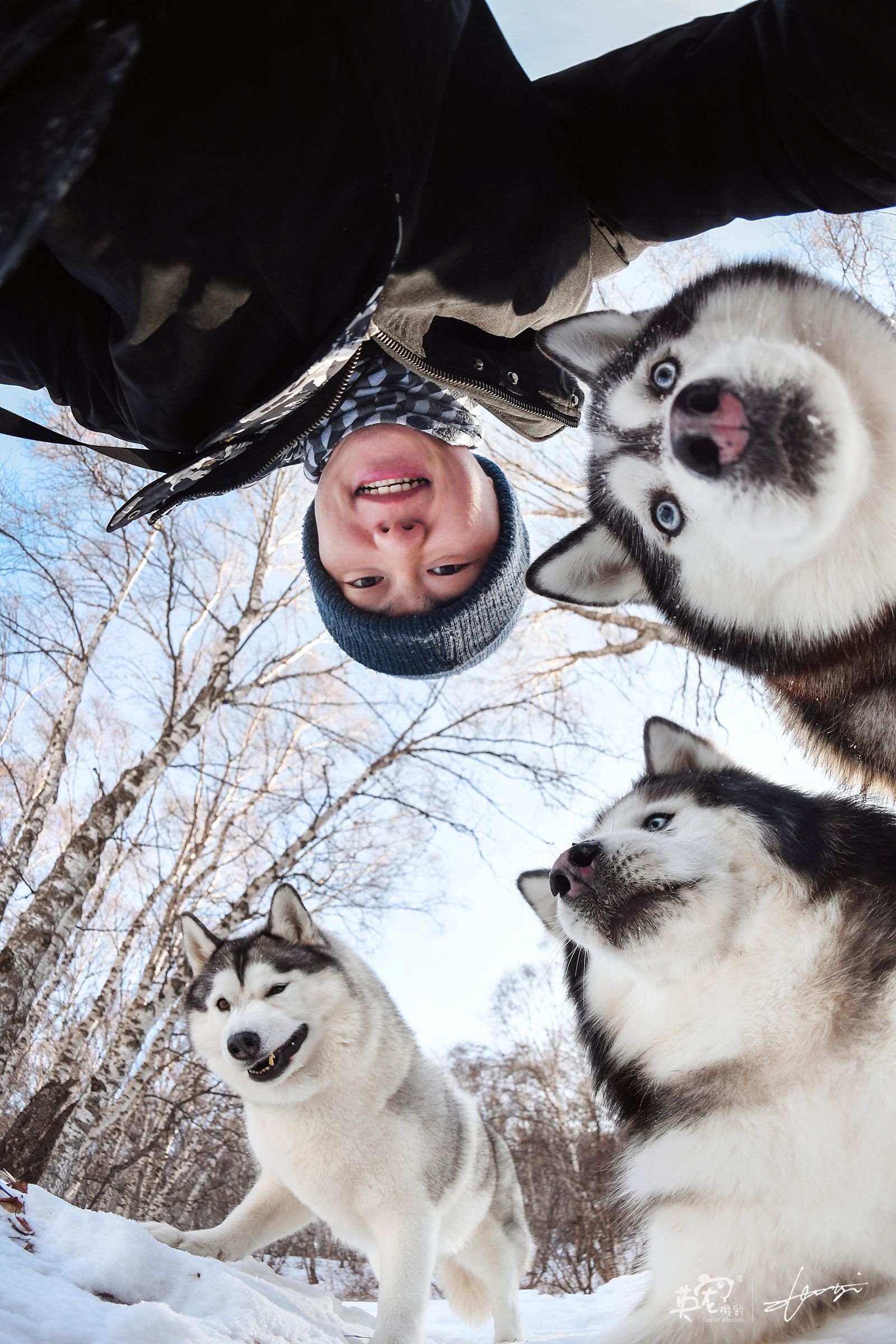 宠物摄影师蹭自拍系列,雪地篇2_高清图集_新浪网