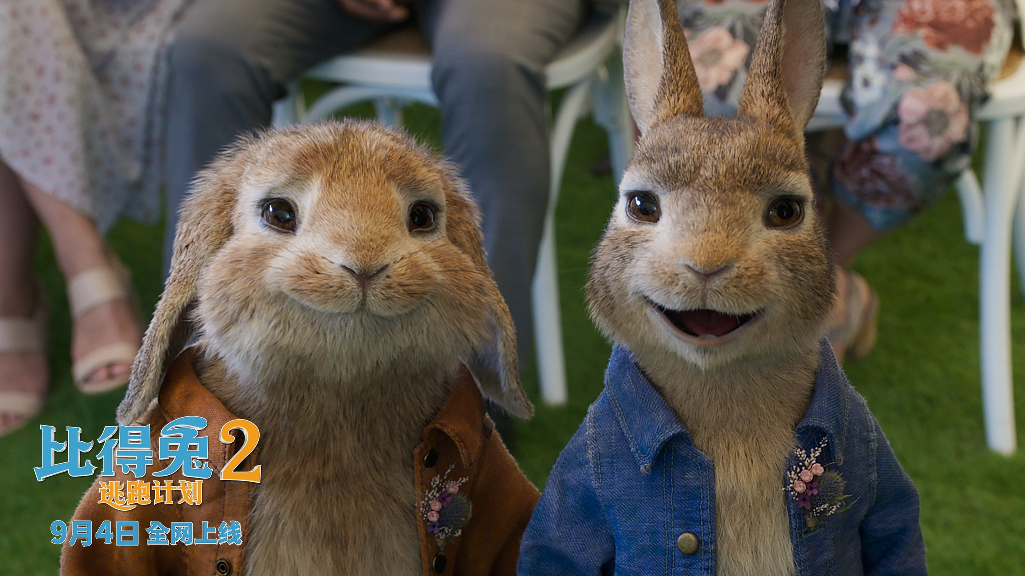 比得兔2逃跑计划9月4日全网上线刘人语携单曲萌幻联动