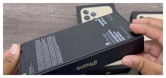 先睹为快!iPhone 13 Pro Max金色版抢先开箱休闲区蓝鸢梦想 - Www.slyday.coM 先睹为快!iPhone 13 Pro Max金色版抢先开箱休闲区蓝鸢梦想 - Www.slyday.coM