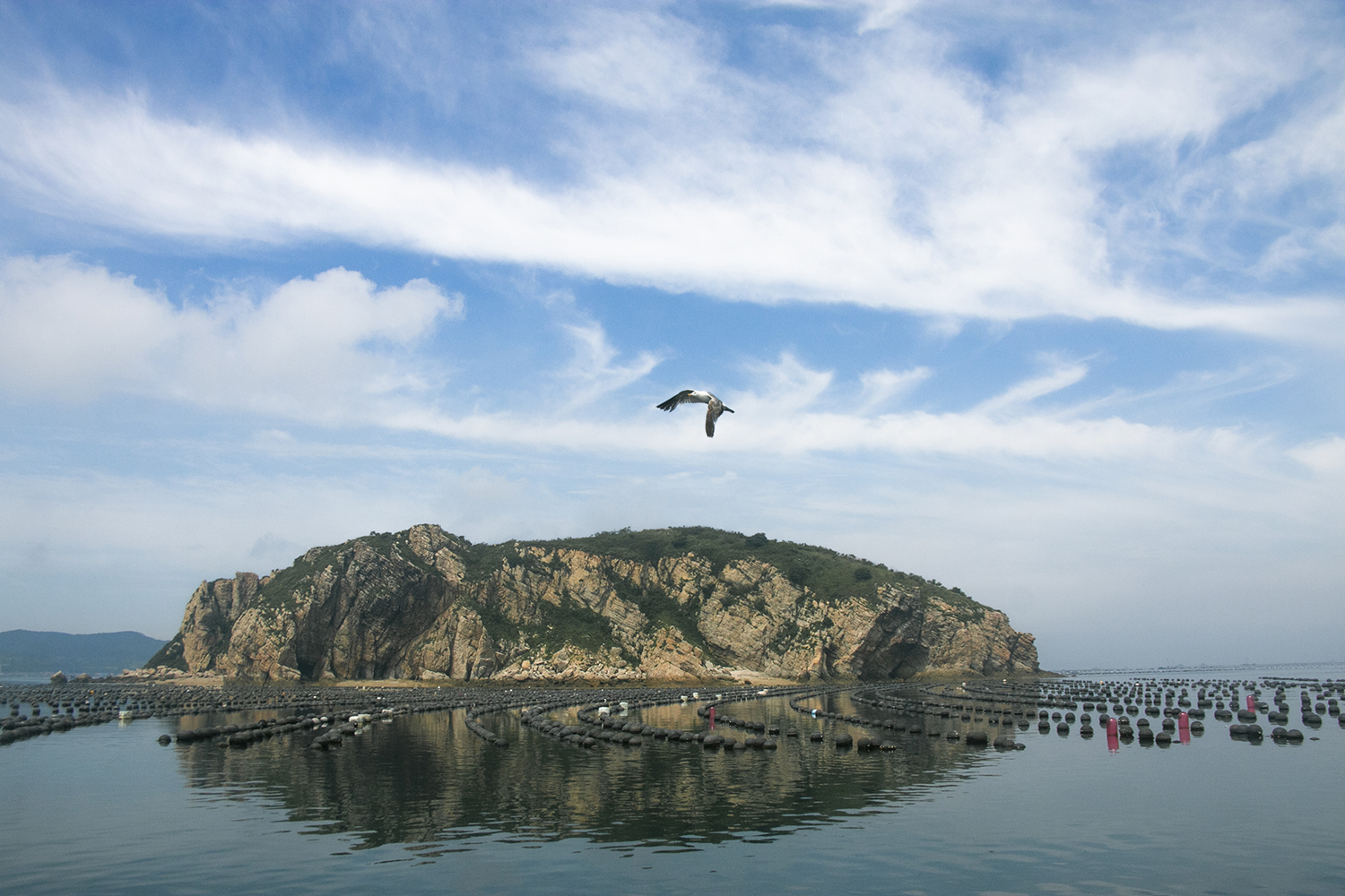 大连海岛哪个好玩看看大连哈仙岛大连海岛中的璀璨明珠
