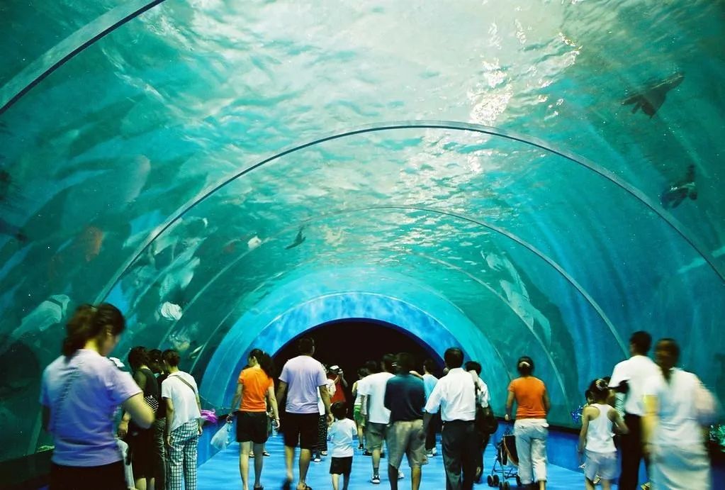 烟台夏季热门旅游景点 蓬莱极地海洋世界旅游攻略 免费语音导游