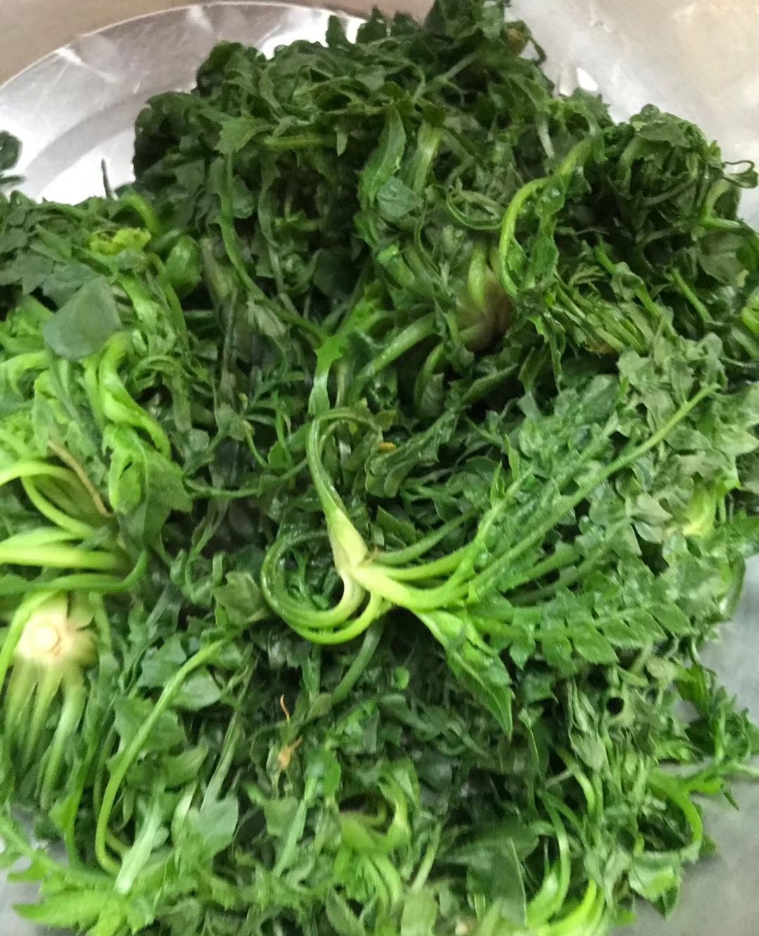 自己挑的荠荠菜包饺子