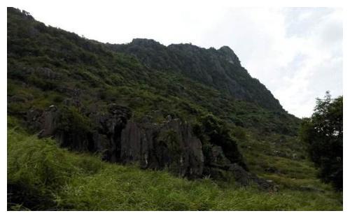 男子采药救了一只狼，狼却将其儿子叼走，正要追赶被过路道士拦下休闲区蓝鸢梦想 - Www.slyday.coM