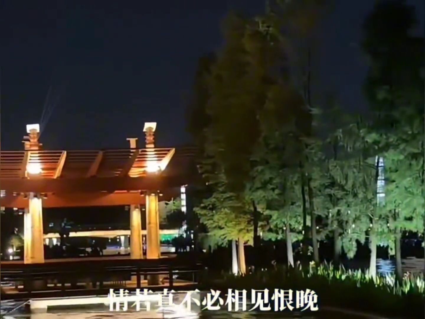 泰迪罗宾＃深情演绎83版《神雕侠侣》片尾曲《情义两心坚》