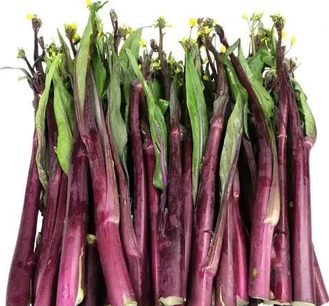 我家的红油菜系列开始了