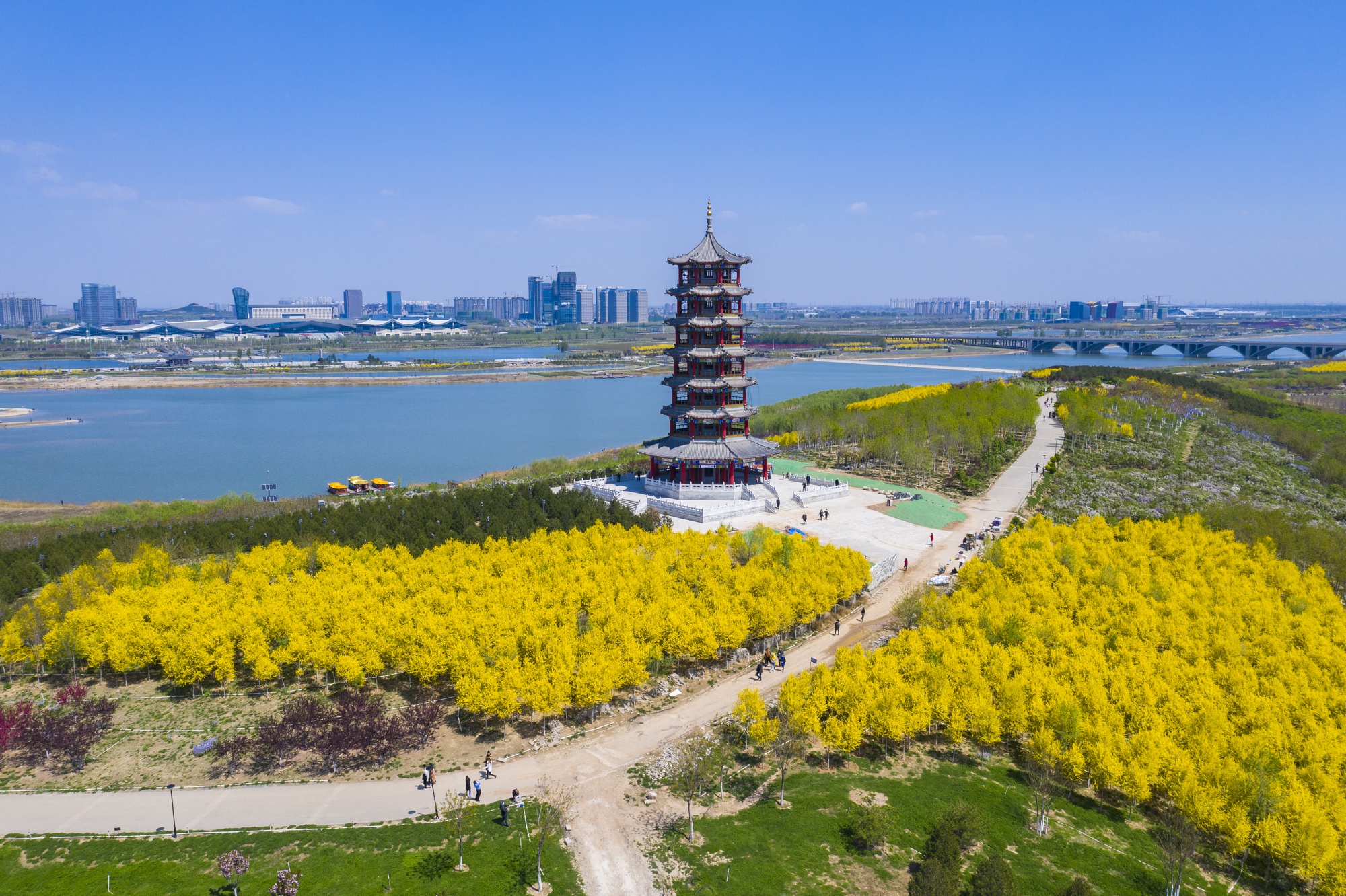 石家庄滹沱河生态旅游景区被誉为"石家庄的后花园",这个季节,你沿滹沱