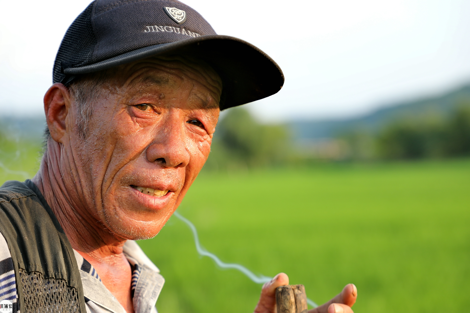 东北农民种地真省钱!不用化肥和农药,九分水田能产千斤稻