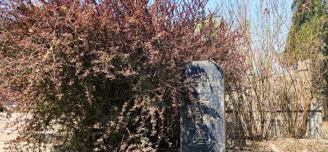 山西代县发现一座百年古墓,竟然是杨家将杨七郎墓,是真是假