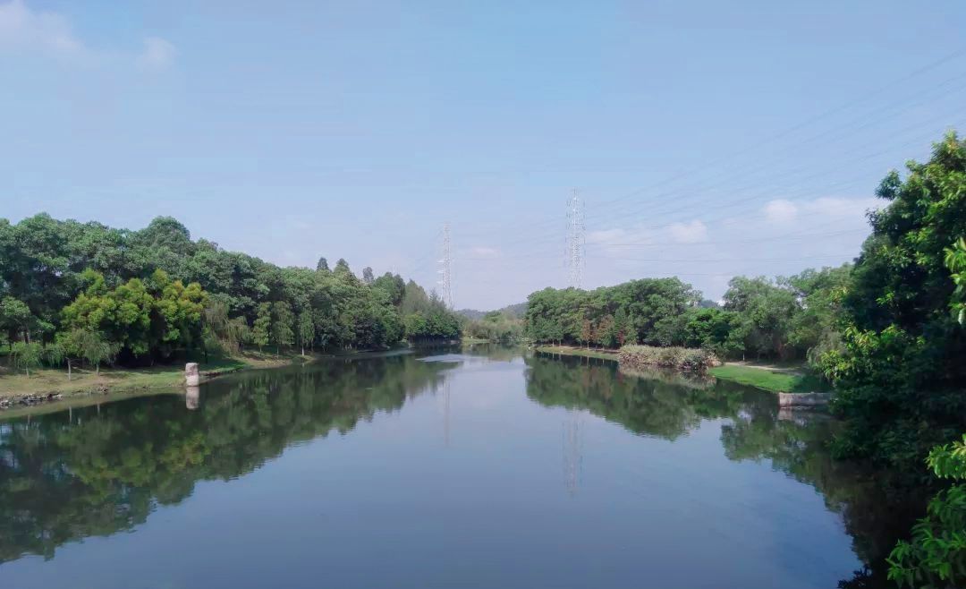 石排燕岭湿地公园
