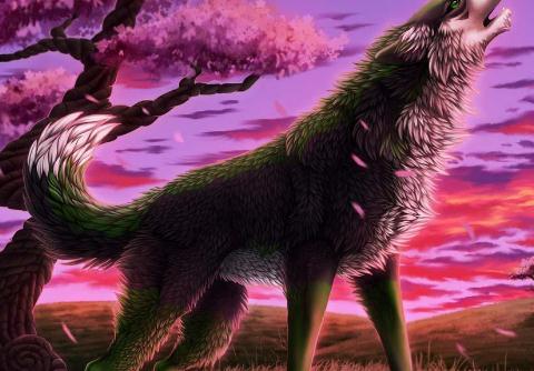 心理测试 4匹狼 哪一匹是狼王 测测你的晚年生活是否幸福