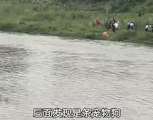 现实版狼来了！16岁男生被误导下河救人，溺亡后求救者消失休闲区蓝鸢梦想 - Www.slyday.coM