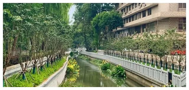 我暗恋的大佬也重生了