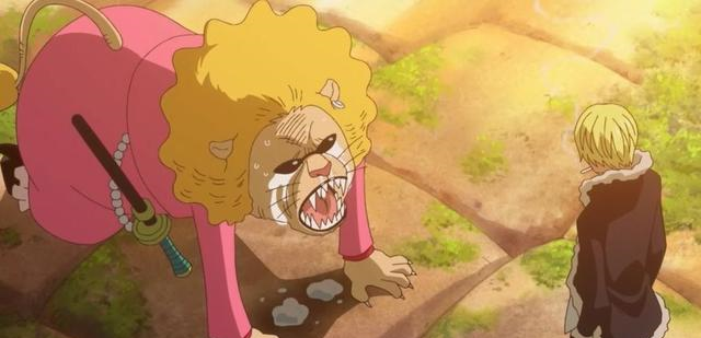 海贼王:最惨的毛皮族,赏金超索隆!