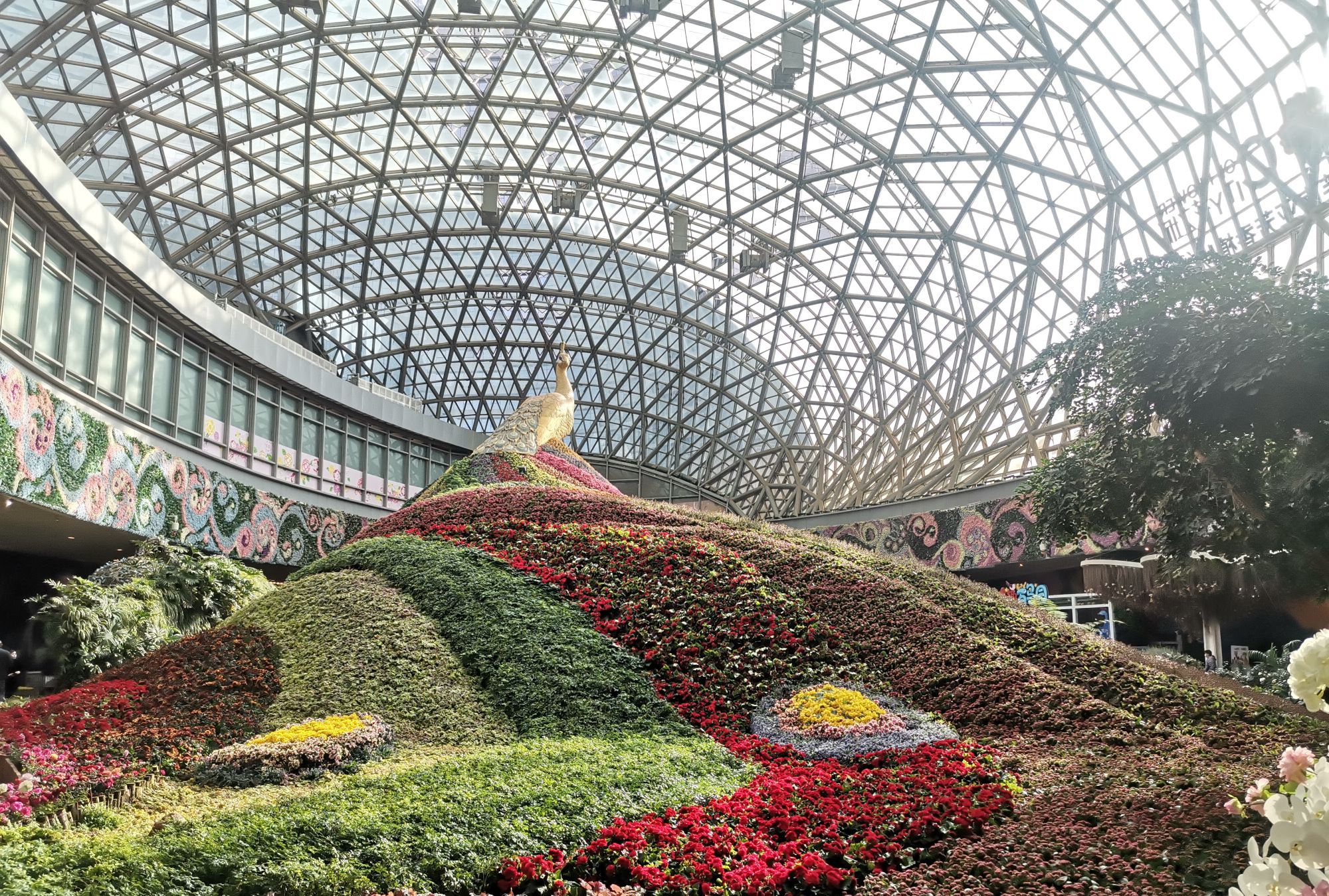 霓彩花境—云南昆明花之城景区景观